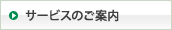 �T�[�r�X�̂��ē�