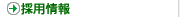 �̗p���