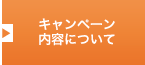 �L�����y�[�� ���e�ɂ���