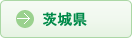 ��錧