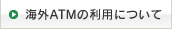 �C�O�ł̂����p�ɂ���