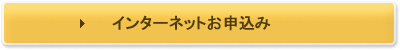 �C���^�[�l�b�g���\����