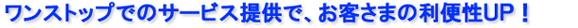 �肻�ȃ��[���v���U