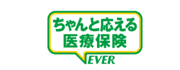 �u�VEVER�i�G���@�[�j�v