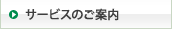 �T�[�r�X�̂��ē�