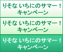 �肻�� �����ɂ̃T�}�[�I�L�����y�[��