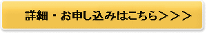 �ڍׁE���\���͂����灄����