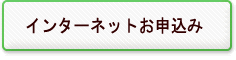 �C���^�[�l�b�g���\����