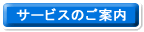 �T�[�r�X�̂��ē�