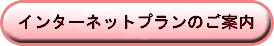 �C���^�[�l�b�g�v�����̂��ē�