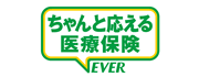 �u�VEVER�i�G���@�[�j�v