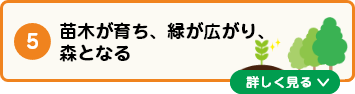 アンカーボタン