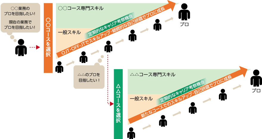 コース別育成体系