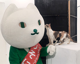 Facebook コレクション Sns りそにゃオフィシャルホームページ りそなグループ Facebook コレクション Sns りそにゃオフィシャルホームページ りそなグループ